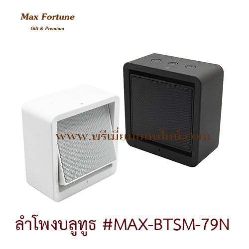 BT Speaker ลำโพงบลูทูธ #MAX-BTSM-79N